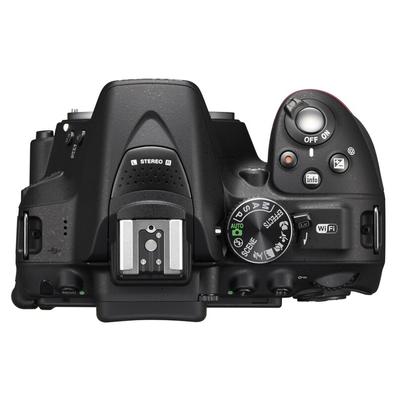 尼康（Nikon） D5300 入門單反數(shù)碼照相機(機身)_http://lucerna.cn/img/images/C201902/1551162975369.jpg
