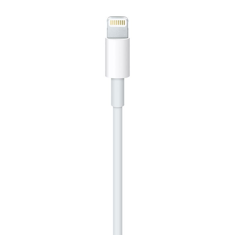 蘋(píng)果（Apple）Lightning/閃電轉(zhuǎn) USB 連接線 (1 米)_http://lucerna.cn/img/images/C201906/1561532749758.jpg