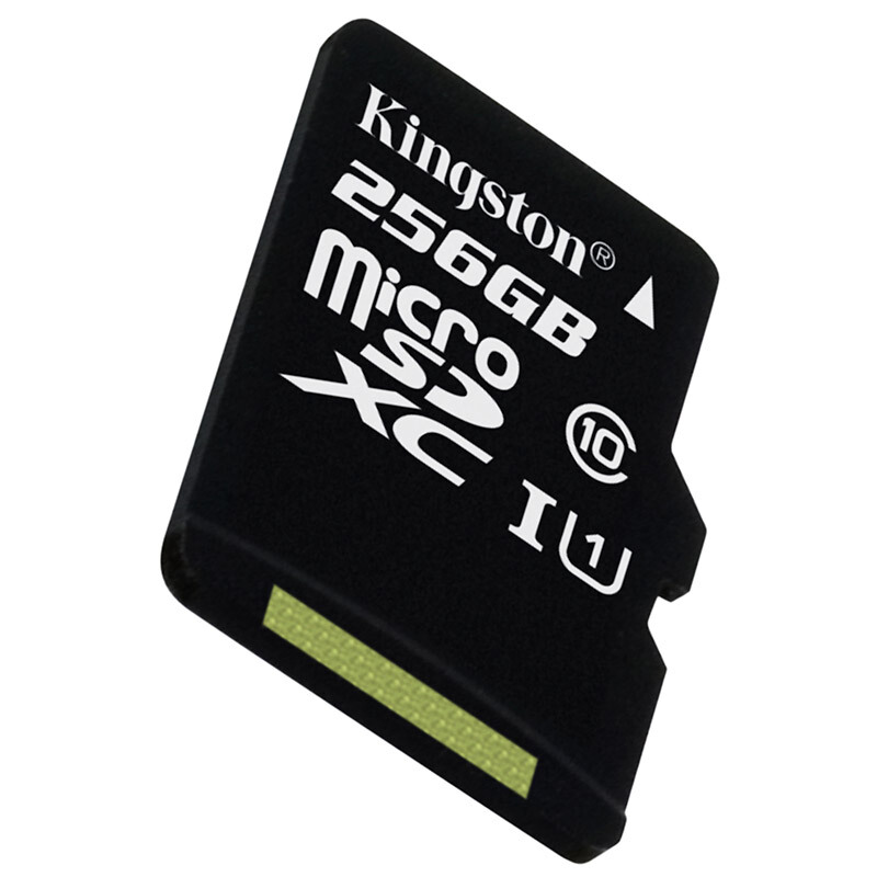 金士頓（Kingston） 內(nèi)存卡 高速行車記錄儀 TF(Micro SD) Class10 UHS-I 手機(jī)存儲卡（256GB）_http://lucerna.cn/img/sp/276/995ff218-89ff-43c3-80c2-5bbb9e5e09a6.jpg