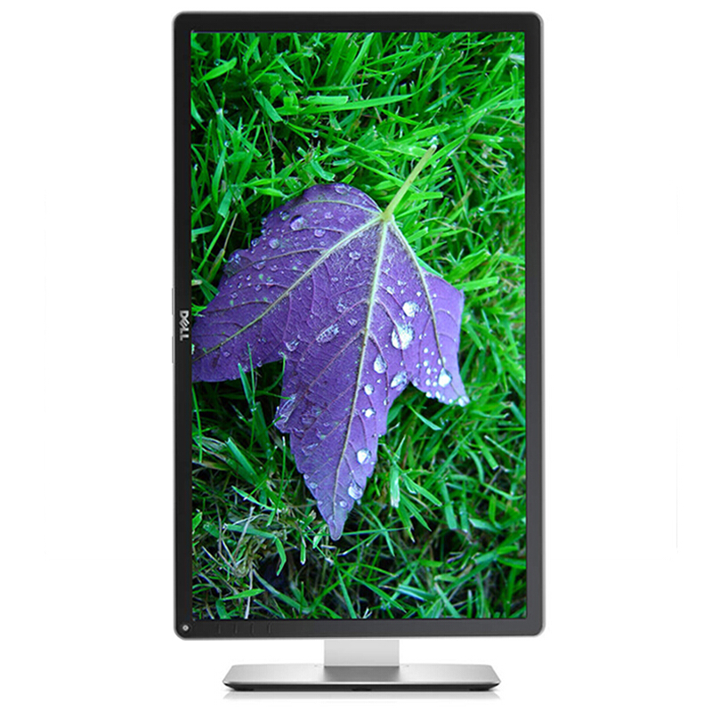 戴爾（DELL） P2415Q 23.8英寸4K超高清旋轉(zhuǎn)升降IPS屏顯示器_http://lucerna.cn/img/sp/294/20525694-ebac-4147-90c5-b9d4cd343ec1.jpg