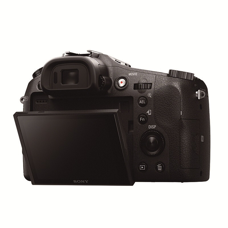 索尼（SONY） DSC-RX10 黑卡數(shù)碼相機(jī) 等效24-200mm F2.8 蔡司鏡頭（WIFI/NFC RX10M1）_http://lucerna.cn/img/sp/307/122daa0f-f634-4bd9-ba2f-124e3b6587a0.jpg