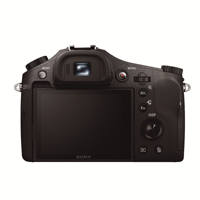 索尼（SONY） DSC-RX10 黑卡數(shù)碼相機(jī) 等效24-200mm F2.8 蔡司鏡頭（WIFI/NFC RX10M1）_http://lucerna.cn/img/sp/307/ed6f7730-f98f-45ee-887b-856d5f89a500.jpg