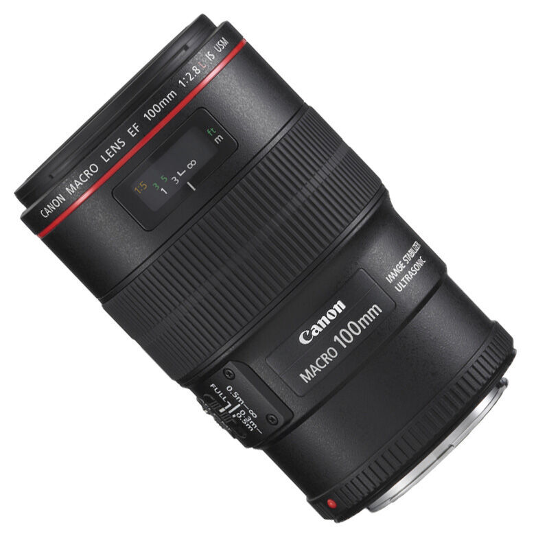 佳能（Canon） EF 100mm f/2.8L IS USM 微距鏡頭_http://lucerna.cn/img/sp/320/d461e49a-1ad3-4d1e-aa6d-69e5529be7aa.jpg
