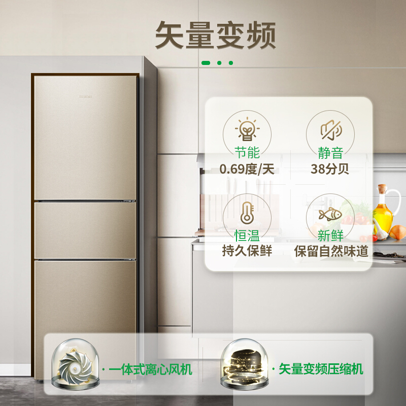 容聲(Ronshen) BCD-252WD11NPA 252升 三門冰箱_http://lucerna.cn/img/sp/331/22ddc659-9d72-4f39-96ce-a69f0f5140b6.jpg