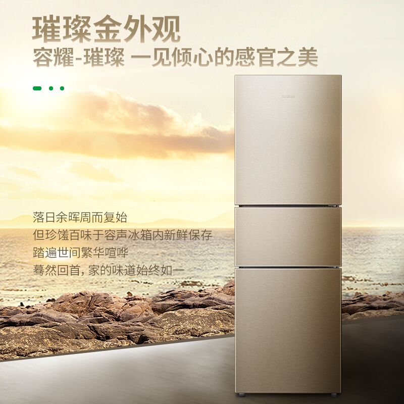容聲(Ronshen) BCD-252WD11NPA 252升 三門冰箱_http://lucerna.cn/img/sp/331/eca77551-6cb8-4042-82e3-11dd9ab699ec.jpg