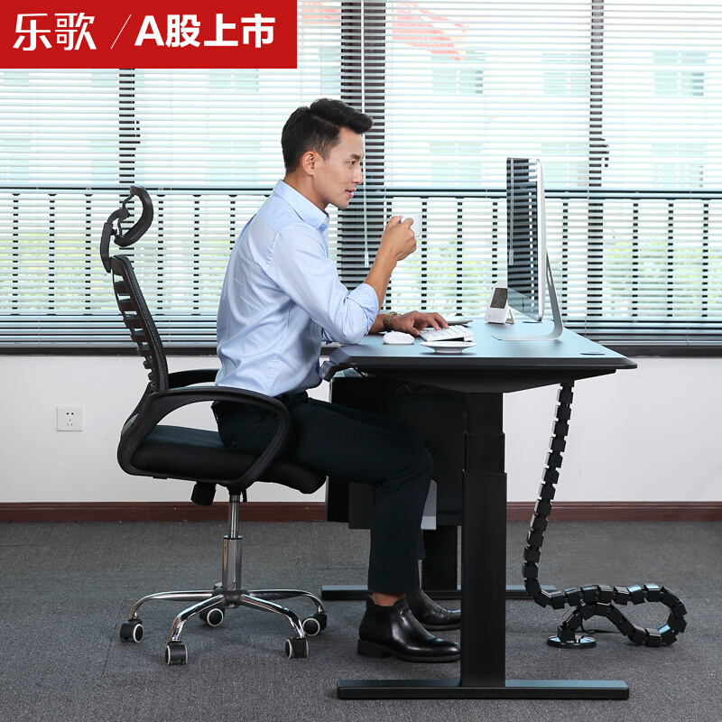 樂歌（Loctek） E3 呵護(hù)腰椎站立辦公電動(dòng)升降桌/立柱3節(jié) (桌面尺寸1200*600mm) 
