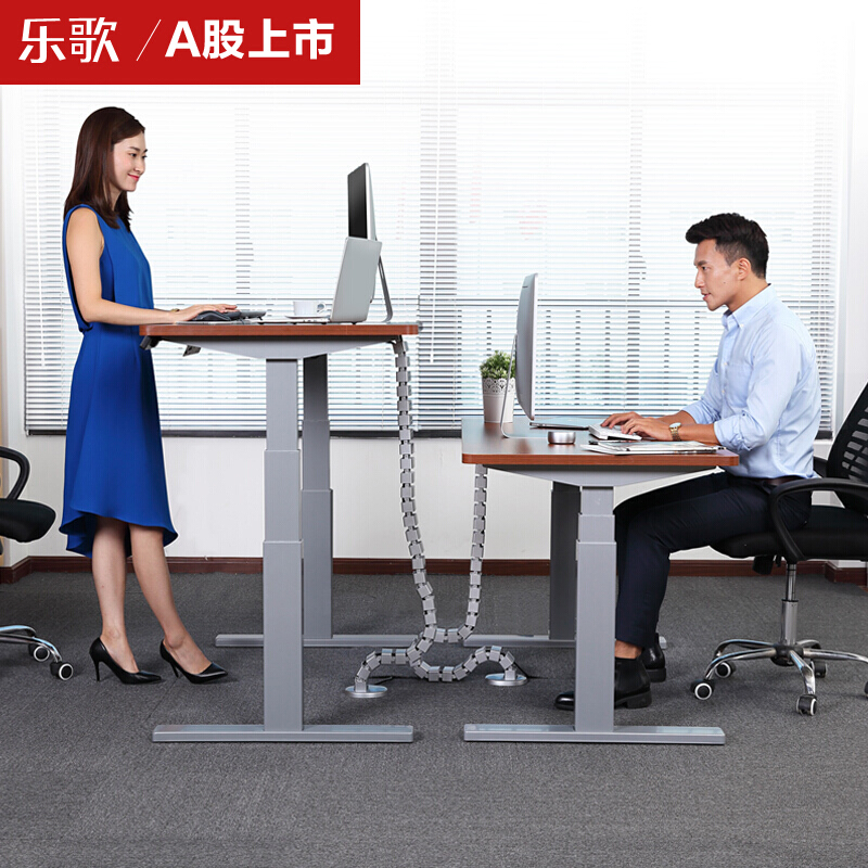 樂歌（Loctek） E3 呵護腰椎站立辦公電動升降桌/立柱3節(jié) (桌面尺寸1400*700mm) _http://lucerna.cn/img/sp/361/9a40baf8-3482-4064-915e-7998b33f63f3.jpg