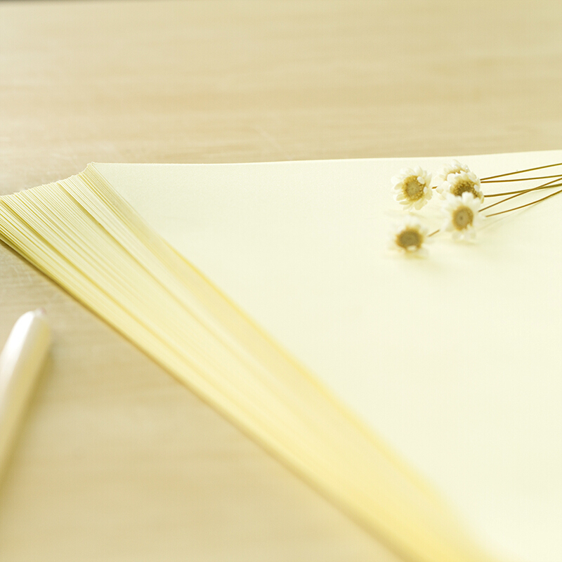 得力（deli） 7391 彩色復(fù)印紙 A4/80g 100張/包（淺黃）_http://lucerna.cn/img/sp/81/a3154df9-6b0c-4b62-b2a8-cbb01eaac7ef.jpg